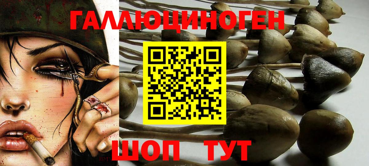 Псилоцибиновые грибы MAGIC MUSHROOMS Заинск
