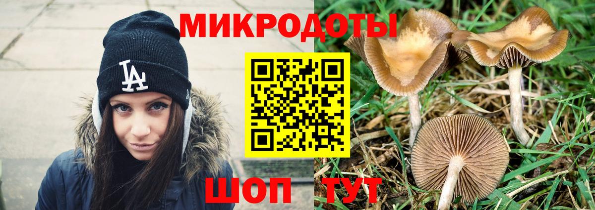 Заинск  Галлюциногенные грибы Psilocybe  как найти наркотики  Вход с VPN 
